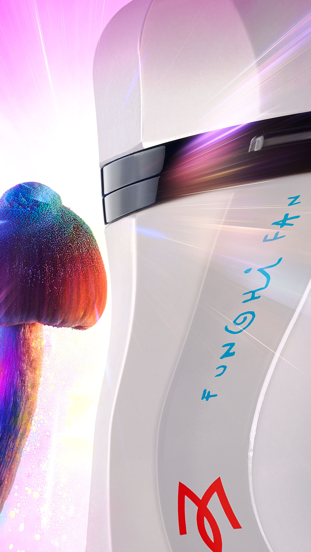 Funghi Fan